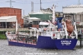 Capella (KB-D070823-01).jpg