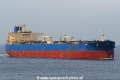 Leo SH-181219-01.jpg