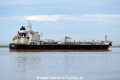 Dee4 Larch (KK-080424-1).jpg