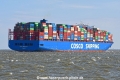 Cosco Shipping Rose JG-200426-3.jpg