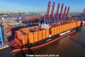 Hamburg Express 021124-05.jpg