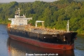 Dee4 Acacia JB-080820-06.jpg