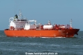 Marcellus Lady SH-140424-01.jpg