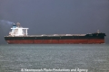 He Ping (MS-101011-12).jpg