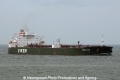 Kronviken OS-140811-02.jpg