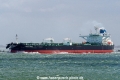 Kriti Hero SH-210521-01.jpg