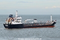 Capella HK-271022-1.jpg