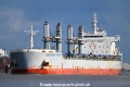 Brighten Trader OS-150324-13.jpg