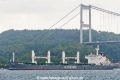 Bulk Trader (OK-140823-2).jpg