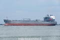 Eco California OS-040419-10.jpg