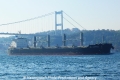 Bulk Guatemala (OK-221013-1).jpg