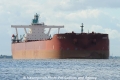 Hugo N 300811-01.jpg