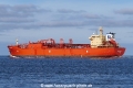 Navigator Atlas (OK-011015-3).jpg