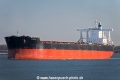 Iconship SH-260125-01.jpg