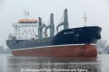 Bulk Rose (OK-150213-1).jpg