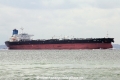 Maran Capella (MS-090817-05).jpg