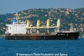 Bulk Argentina (OK-300512-0).jpg