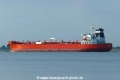 Dorado (KK-220822-2).jpg