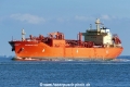 Navigator Atlas (OK-011015-1).jpg