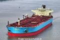 Marlin Lome 300823-02.jpg