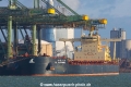 HL Sapphire NT-290122-01.jpg