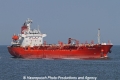 Chem Leo SH-010812-01.jpg