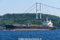 Delphi (OK-280821-1).jpg