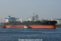 Maran Pythia OS-010814-01.jpg