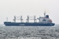 Bulk Trader HK-250518.jpg