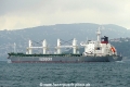 Bulk Trader (OK-140823-4).jpg