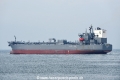 Eco California OS-040419-17.jpg