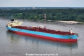 Marlin Lome 300823-08.jpg
