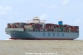 Cosco Denmark (KK-310715-0).jpg