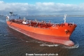 Dorado KH-240223-5.jpg