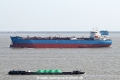 Dino OS-180325-07.jpg