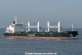 Bulk Trader SH-181219-01.jpg