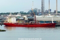 Densa Derya (MB-090826-2).jpg