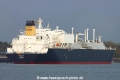 Murex TL-071022-1.jpg