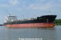 Dignity (OK-250623-1).jpg