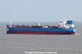 Dino OS-180325-09.jpg