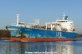 Nijinsky (KK-081215-1).jpg