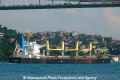 Bulk Argentina (OK-300512-3).jpg