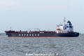 Diadema (KK-030518-2).jpg