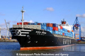 Hanjin Phoenix (210202-13).jpg