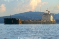 Jolanda (OK-160924-1).jpg