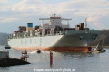 COSCO Portugal TL-040415-4.jpg