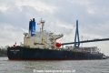 Elegant Voyager (KB-D220124-12).jpg