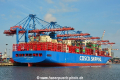 COSCO Shipping Denali (KB-D060819-01).jpg