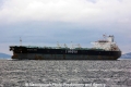Minerva Astra (MM-101011-2).jpg