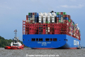 Cosco Shipping Azalea 030619-41.jpg